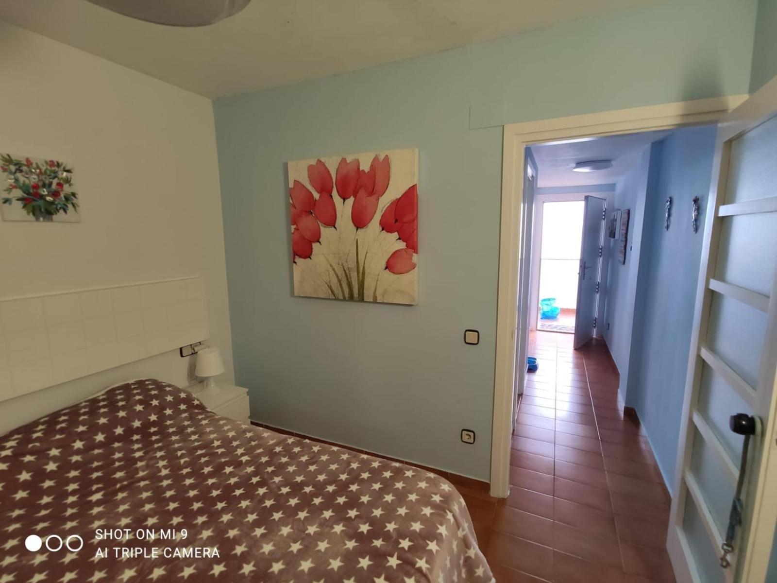 Apartamento Tossa Tossa de Mar Extérieur photo